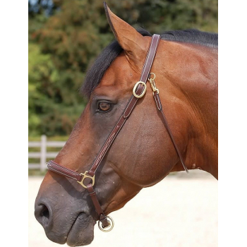 Dyon Collection Fancy Grooming Headcollar