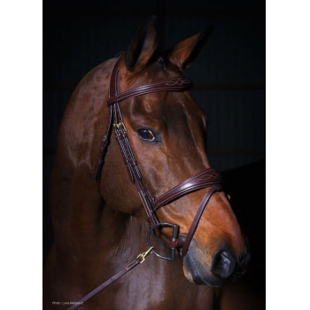 Dyon Collection Flash Bridle with Anatomic Noseband