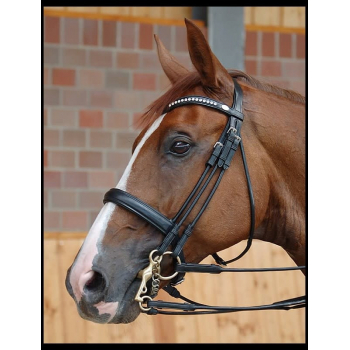 Dyon Dressage Collection Medium Comfort Noseband Double Bridle