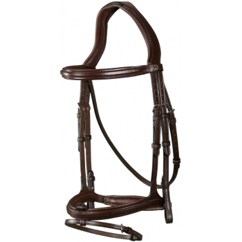 Dyon New English Collection Cavesson / Flash Bridle