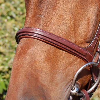 Dyon New English Collection Cavesson Noseband