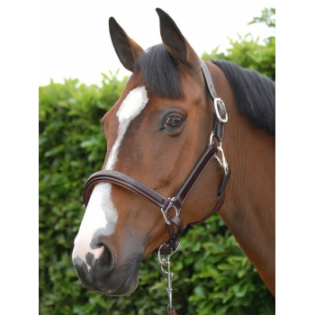 Dyon Working Collection Fancy Leather Headcollar