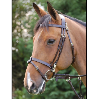 Dyon Working Collection Flat Leather Flash Bridle with Clips