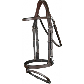 Dyon Working Collection Flat Leather Flash Bridle with Clips