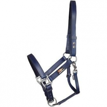 Equilibrium Stellar Headcollar