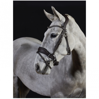 GFS Premier Prime Bridle