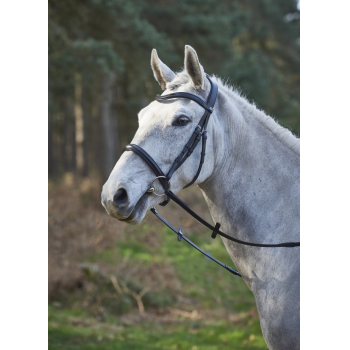 GFS Simplicity Bridle