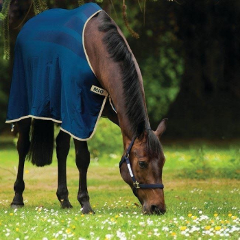 Horseware Mio Skrim Cooler Rug