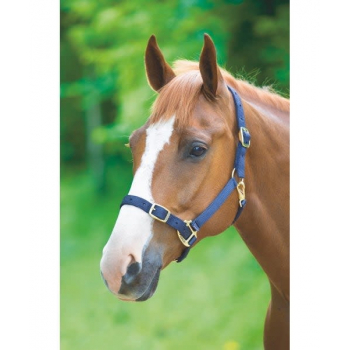 Shires Adjustable Headcollar